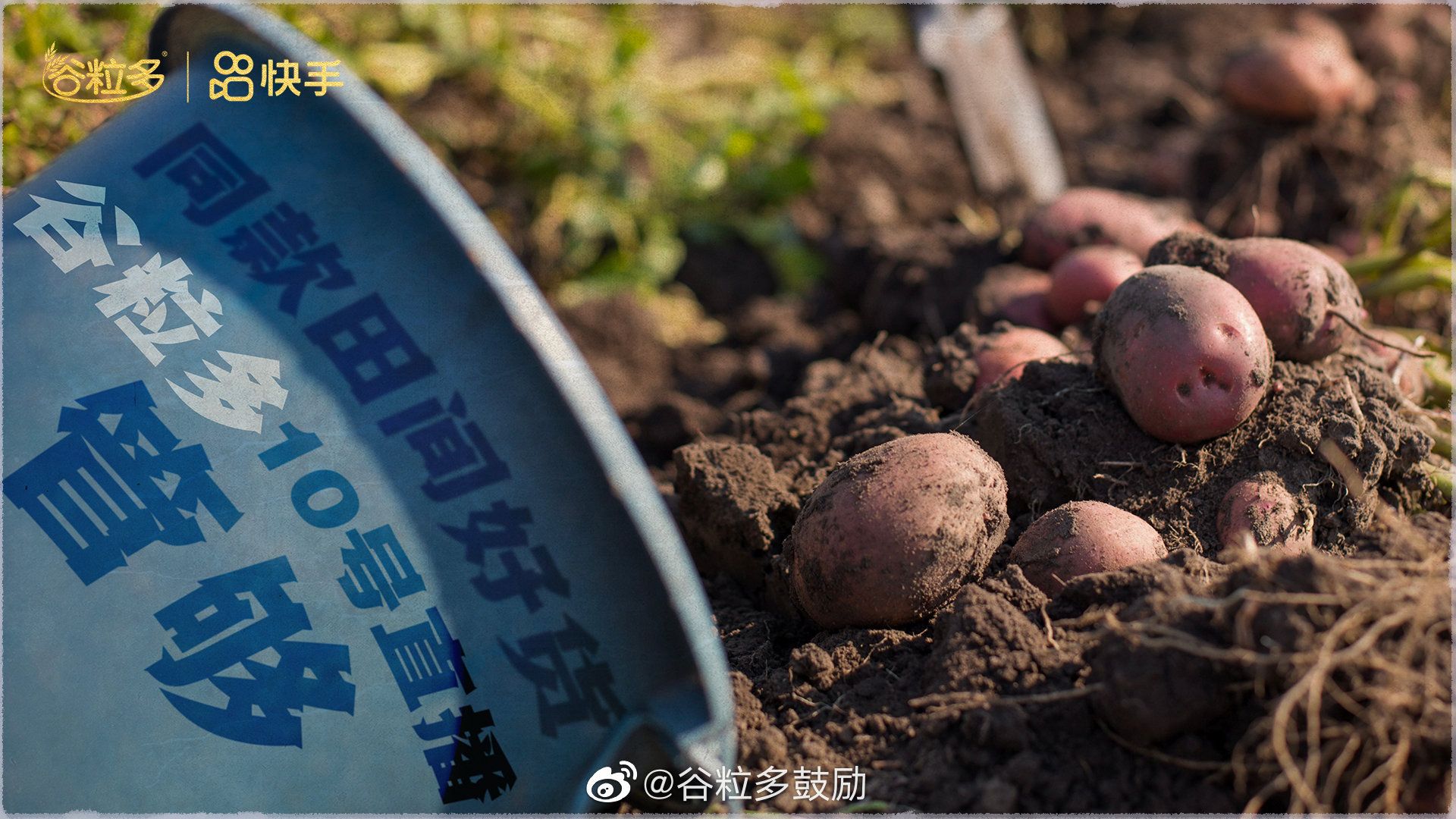 dc129d6b-d867-48fd-9889-5304fae34f551673507182426