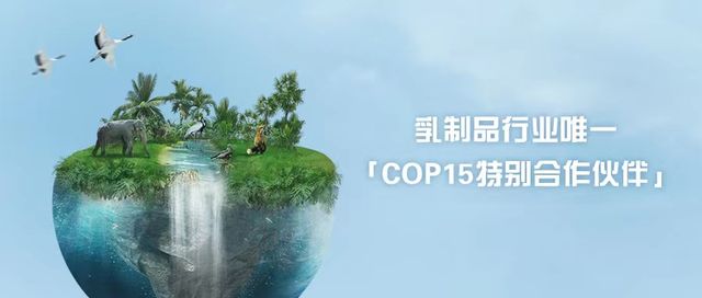 eeef05a5-ff0d-4dcb-9528-aeb2339871d81674221609532