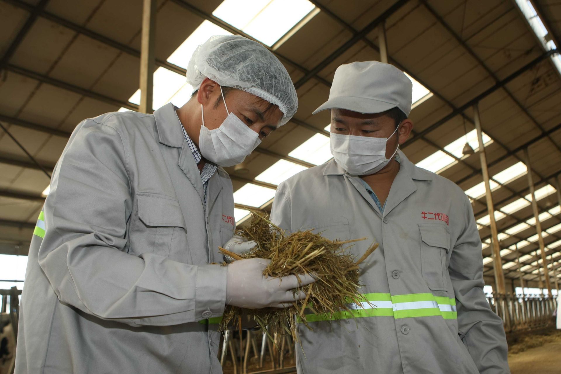 thumbnail.c7a96154-0908-4904-8849-34498a8c12d11676341329737