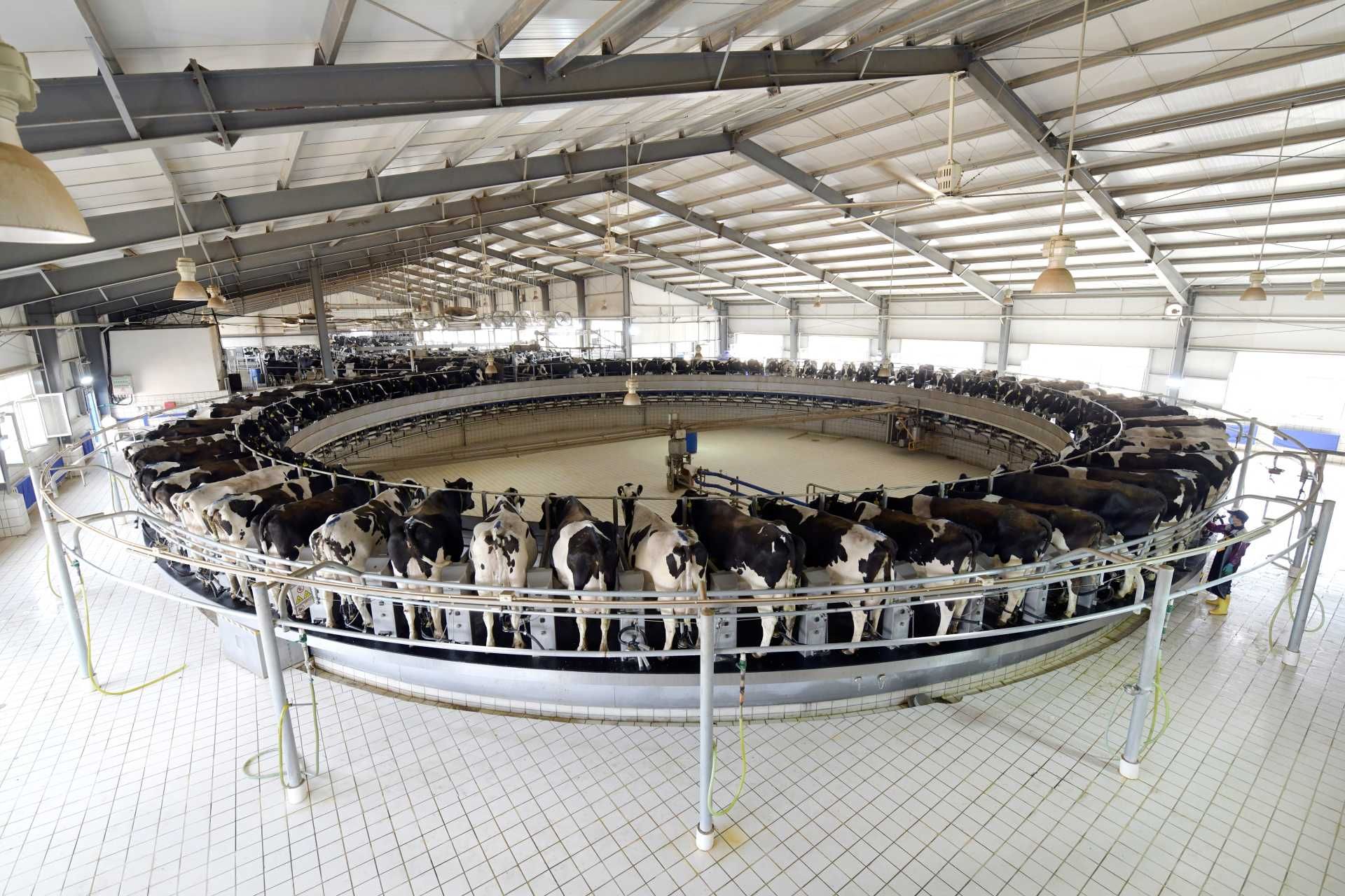 thumbnail.b3fdcb3a-fdc2-4a33-95e2-bd8fb29ef03f1691635047132