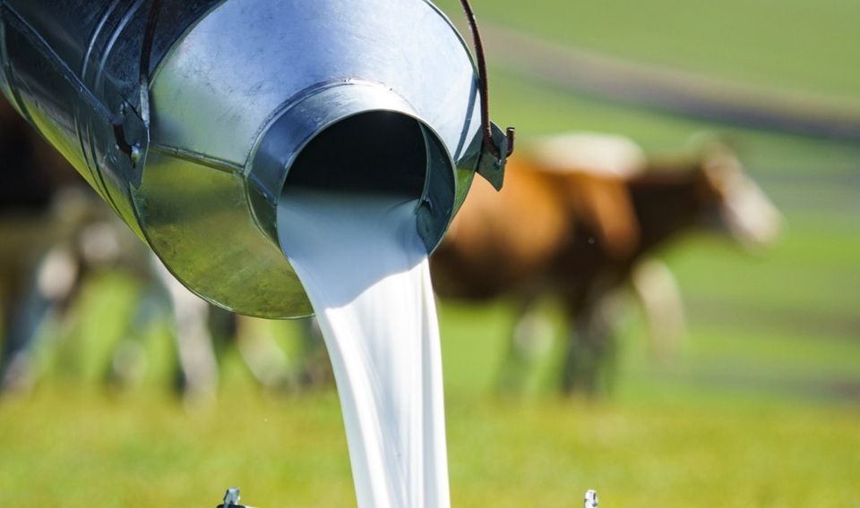 76089d2c-9ebc-48f9-9124-83b965dfc4921702908165508