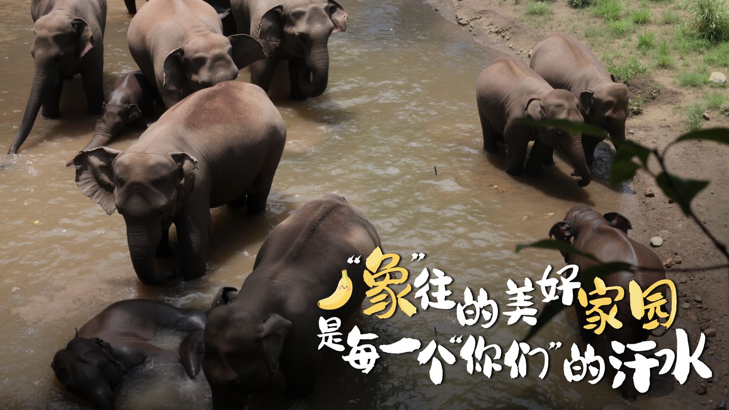 633f17a5-e20a-4f5a-a1c7-b84dbb1123031766578360659